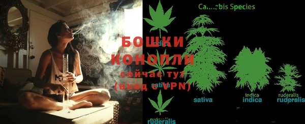 мяу мяу мука Переславль-Залесский