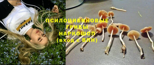 гидра Остров
