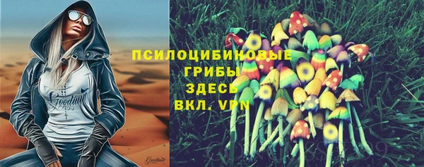 меф Осинники