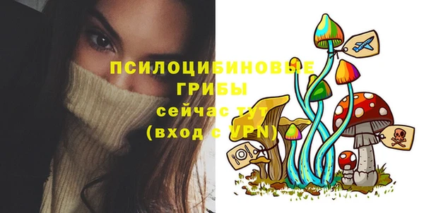 меф Осинники