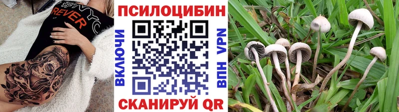 Псилоцибиновые грибы GOLDEN TEACHER  Балей 